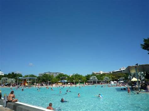 Fish @ Pool - Picture of Cairns Esplanade Swimming Lagoon, Cairns ...