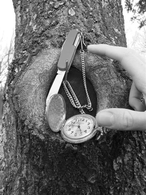 Symbolism: The knothole in the Radleys' tree represents Boo's desire ...