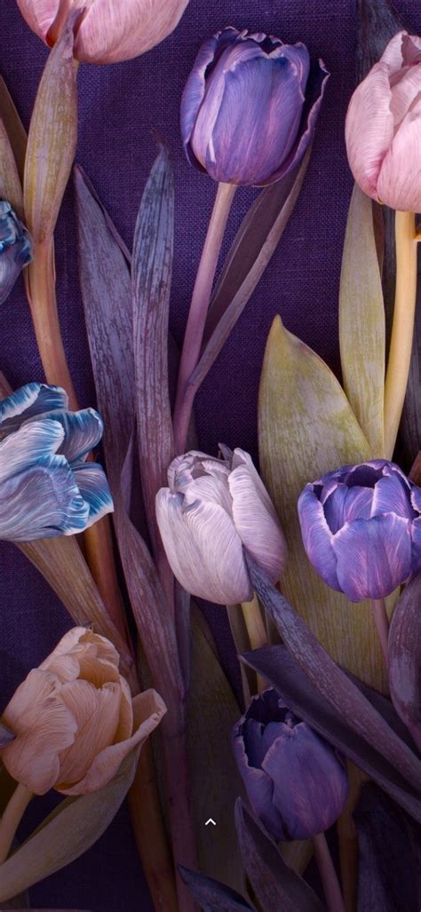 Pin by Melu Vazquez on Flowers Wallpaper | Purple flowers wallpaper ...