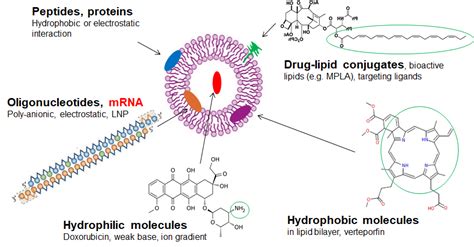 Advances in LNP-mediated drug delivery