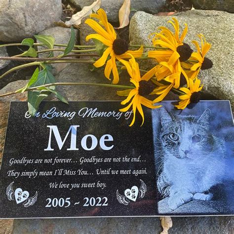 Beautiful 12x6 Pet Grave Decoration Engraved With the Picture of Your ...