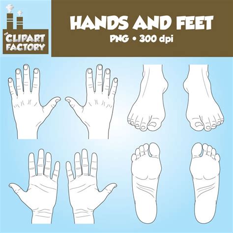 Clip Art: Hands and Feet Color and Black and White - Etsy