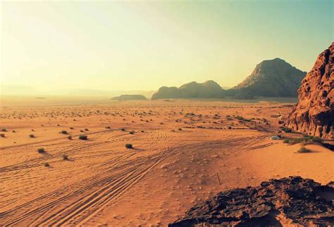 Learn Desertification Process, Causes, Effects and Solutions