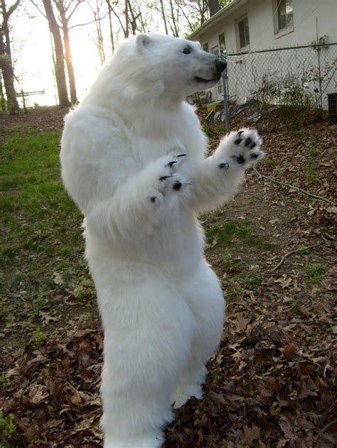 girl suit up in fursuit - Google Search | Polar bear, Bear costume ...