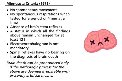 Brain Death Guidelines 2024 - Maria Charissa