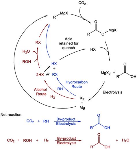 | General Grignard CO2 reaction/cycle scheme including Grignard... | Download Scientific Diagram