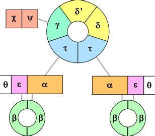 DNA Polymerase III