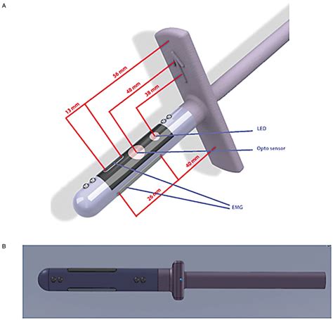 A. Device for the measurement of vaginal pulse amplitude and pelvic... | Download Scientific Diagram