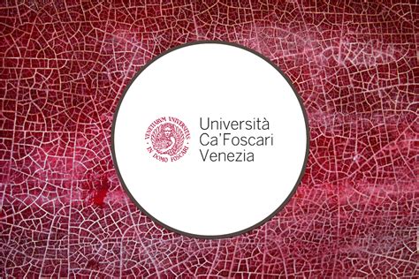 Case Study | Ca’ Foscari University of Venice target wider network