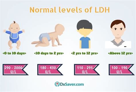 LDH - LDH - JapaneseClass.jp