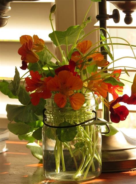 A jar full of sunshine... Mason jar filled with nasturtiums. | Garden crafts, Nasturtium, Flower ...