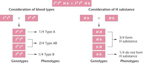 H_substance.html 04_06-H_substance.jpg