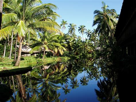 Coco Palms Hotel Kauai Photos - Delan Nelson Photography