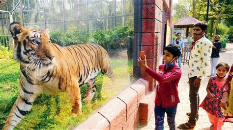 Mumbai: New pages uploaded to boost Byculla zoo’s social media presence