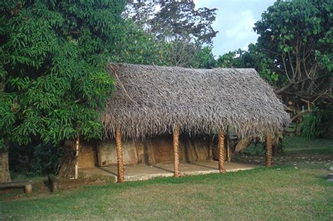 Testimonies from Tonga: TONGAN HOUSES