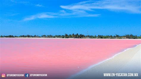 Las Coloradas Yucatan, Playas Yucatecas