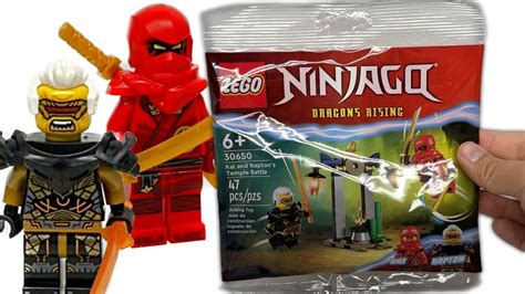 LEGO Ninjago Summer 2023 Polybag Review! Dragons Rising set 30650! | Brick Finds & Flips