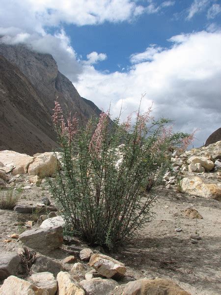 Pakistan, Karakoram - Marijn