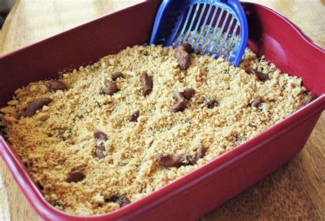 Tasty Kitty Litter Cake recipe- Amee's Savory Dish