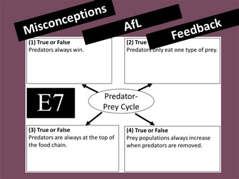 7. Predator-Prey Cycle | Teaching Resources