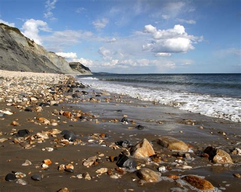 THE 10 BEST Things to Do in Charmouth (2024) - Must-See Attractions