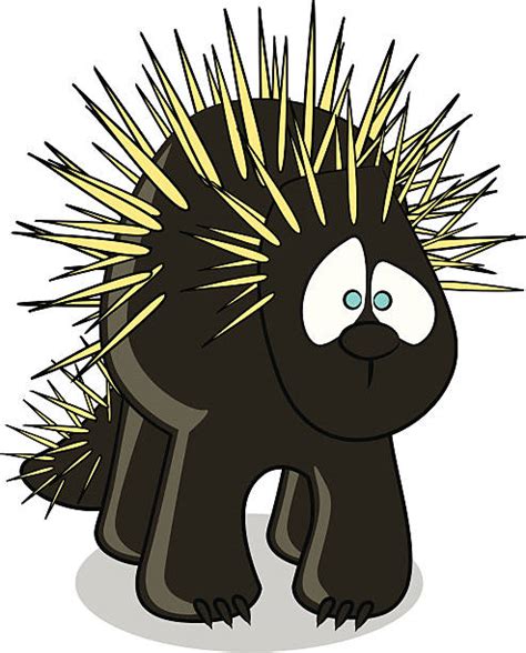 Best Porcupine Illustrations, Royalty-Free Vector Graphics & Clip Art - iStock