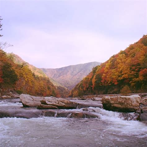 The Nolichucky Gorge Needs Your Help | I Heart Pisgah