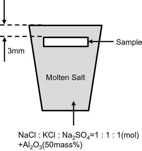 Schematic diagram of molten salt corrosion experiment | Download ...