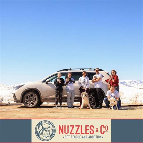 Nuzzles & Nate Wade Subaru Partnership - Nuzzles & Co