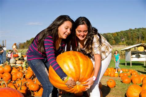 Corn Mazes and Pumpkin Patches - Virginia Is For Lovers