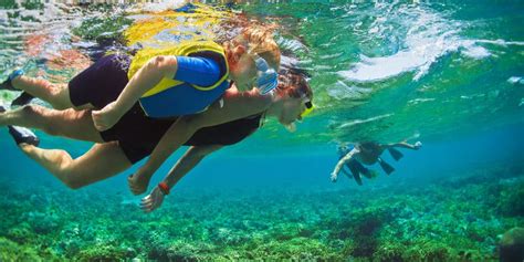 Bimini Snorkeling Adventure for the Whole Family | Charter Solution