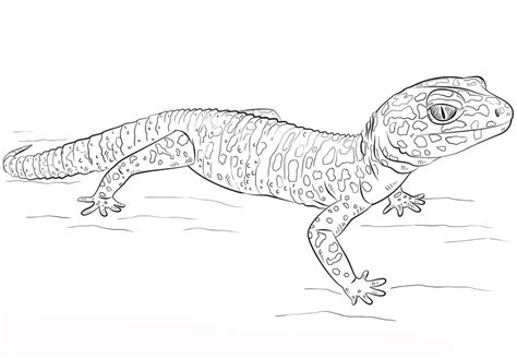 Happy Gecko Coloring Page - Free Printable Coloring Pages for Kids