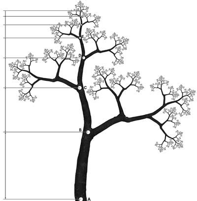 Fractal Trees – Fractal Foundation