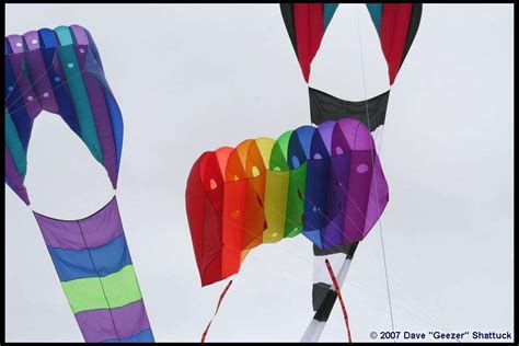 Parafoil Kites | American Kitefliers Association (AKA)