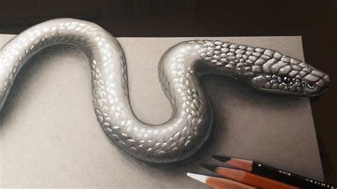 How To Draw A Realistic Snake - Design Talk