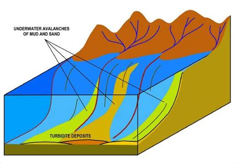 5.5: Depositional Environments - Geosciences LibreTexts