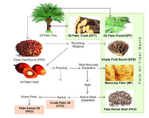 Palm Oil Production Process Flow Chart - Free Word Template