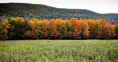 4 Top Places to See Fall Foliage in Massachusetts - Balise Toyota Scion ...