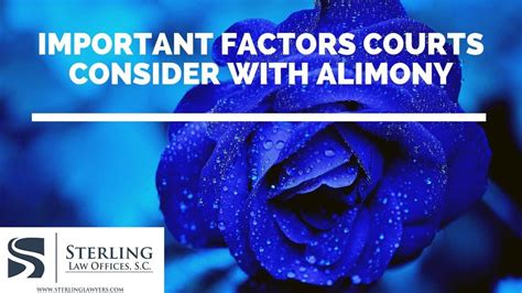 Important Factors Courts Consider With Alimony | Sterling Lawyers, LLC