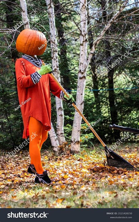 Sexy Woman Pumpkin Head Halloween Costume Stock Photo 2121428150 | Shutterstock