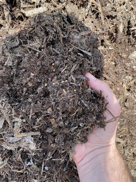 Mushroom Compost – Sold By The Yard | Mr. Mulch