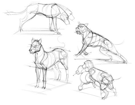 figuredrawing.info news: Thinking Gesture in figures and animals