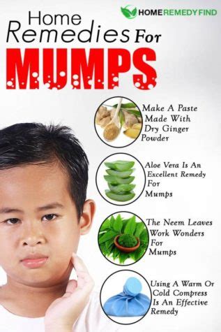 Mumps Outbreak Reached High in Texas – The Claw