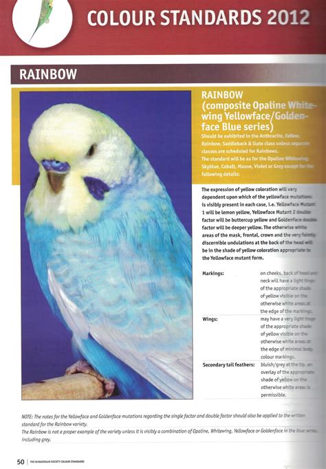 Rainbows - United Budgerigar Society Inc.