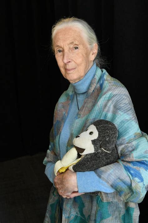 Learn about earth hero jane goodall champion of the chimps – Artofit