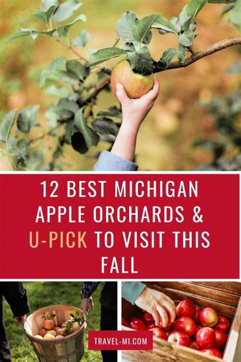 Michigan Apple Orchards and U-Pick South Haven Michigan, Fall In ...