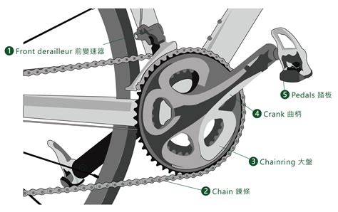 Parts Of A Bike Frame Labelled Diagram - Infoupdate.org