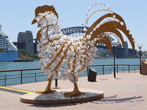 Sydney - City and Suburbs: Circular Quay, Lunar Lanterns, Rooster