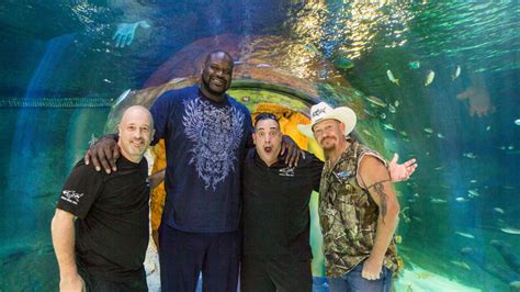 Las Vegas-based reality show 'Tanked' canceled