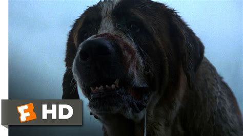 Cujo (3/8) Movie CLIP - What's the Matter? (1983) HD - YouTube